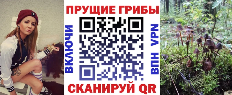 Галлюциногенные грибы мухоморы  Усть-Катав 